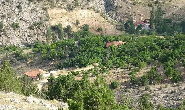 Kayıp kadının cenazesi için bin 600 rakımlı dağda arama sürüyor