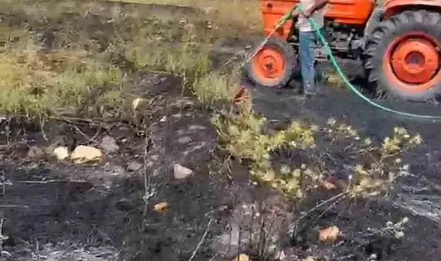 Kütahya'da orman yangını paniğe sebep oldu