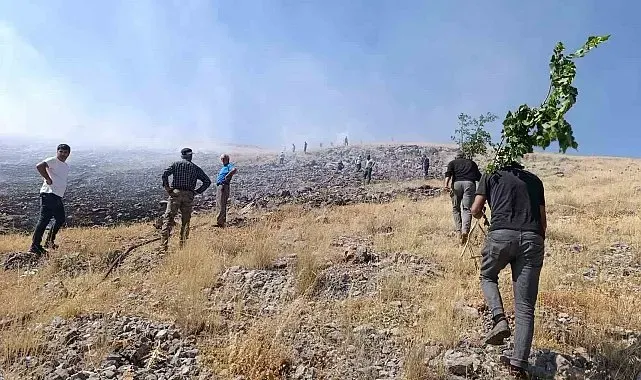 Malatya'da anız yangını
