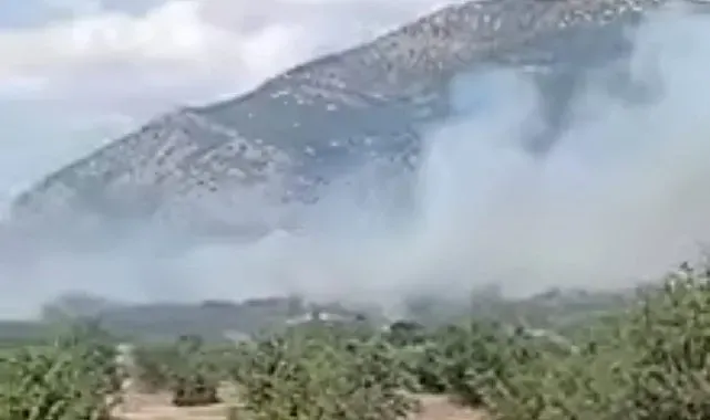 Acıpayam'daki orman yangını kontrol altına alındı