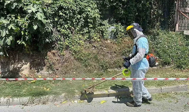 İBB'nin sorumluluğundaki yollarda otlar metrelerce uzadı, temizliği Beykoz Belediyesi yaptı