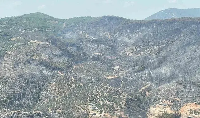 Yeşilden siyaha bürünen alan helikopterden görüntülendi