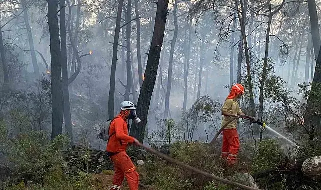 Datça MAG AME ekipleri Göcek'teki orman yangınına destek verdi