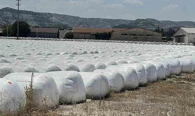 Burdur Şeker Fabrikası'na 'kötü koku' cezası