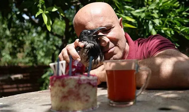 Rize çayı içen gurme kargaya özel doğum günü partisi