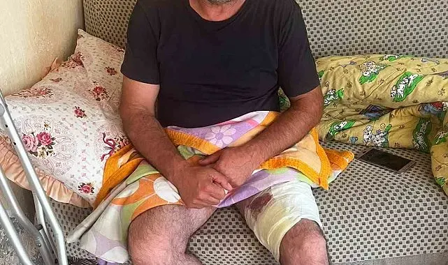 Muradiye'de arazi anlaşmazlığı silahlı kavgaya dönüştü: 1 yaralı