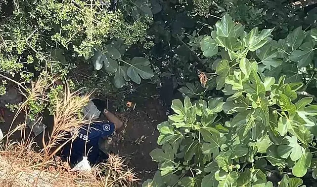 10 metreden düşen kadın, yardıma gelen polislerden kaçtı