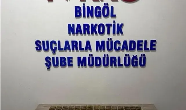 Bingöl'de 600 fişek ele geçirildi: 1 tutuklama