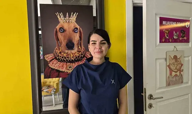 Evcil hayvan sahiplerine sıcak hava uyarısı