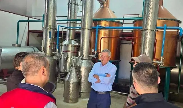 Tıbbi aromatik bitki üretimi için saha çalışmaları sürüyor