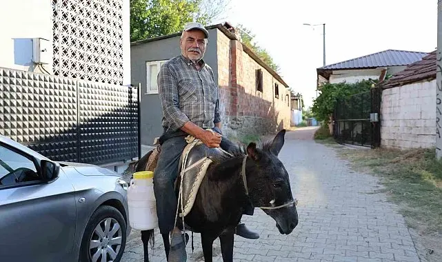 Ayhan amca yokluktan değil, sürücü belgesi olmadığından eşeği ile servis yapıyor