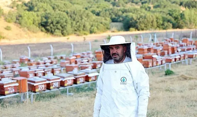 Abadan Bal Ormanı'nda yeni sezon bal hasadı