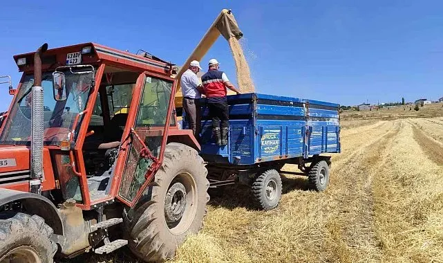 Kütahya'da yerli ve milli arpa çeşitlerinin hasadı yapıldı