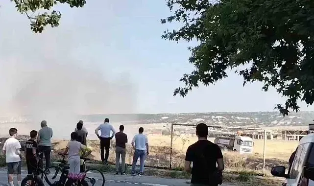 Otluk alan alevler içinde kaldı