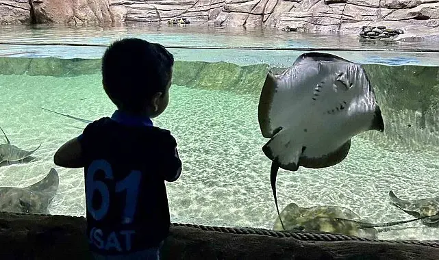 Tünel Akvaryum turistlerin gözdesi oldu