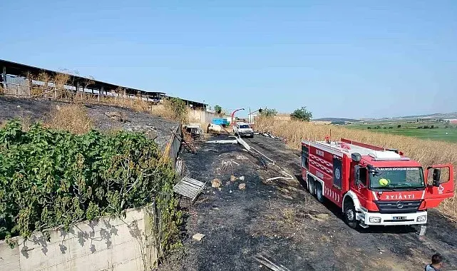 Manyas'ta otluk alan ve buğday tarlasında çıkan yangın söndürüldü