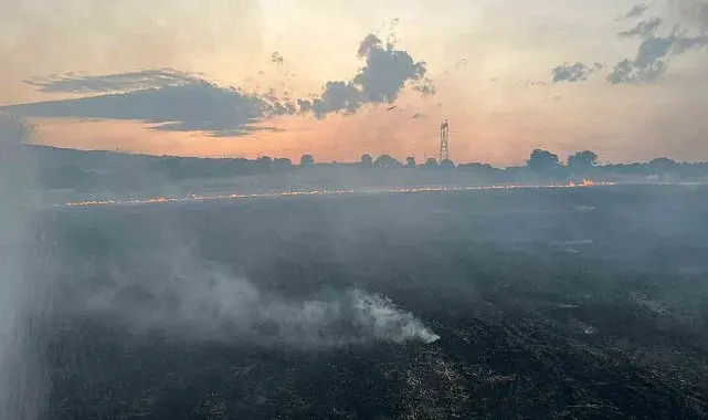 Gönen'de geniş alanda çıkan arazi yangını ekiplerin müdahalesiyle söndürüldü