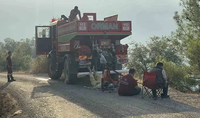 Yeşil vatan için ateşe yürüdüler, sabahı küle bulanmış yüzlerle karşıladılar