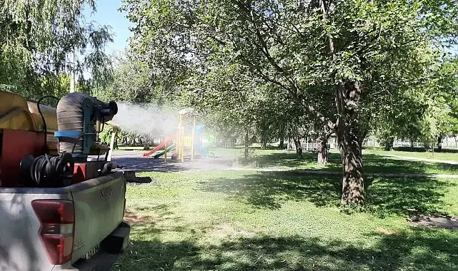 Erzincan'da sivrisinek ve karasineğe karşı ilaçlama sürüyor