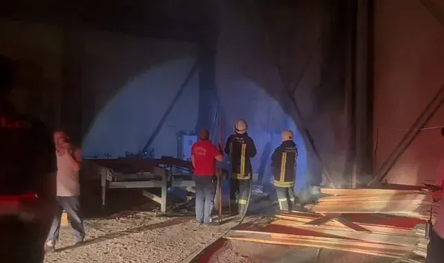 Erzincan'da kereste dükkânında yangın
