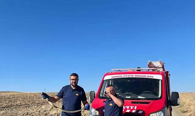 Kaymakamlık bahçesinde bulunan yılan doğaya bırakıldı