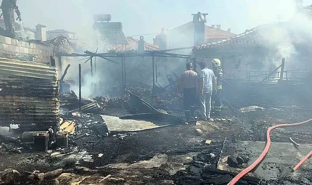 Menteşe'de evde çıkan yangında yaşlı adam hayatını kaybetti