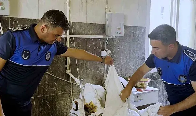 Tarsus'ta fırın denetimlerinde haşereli hamur tespit edildi