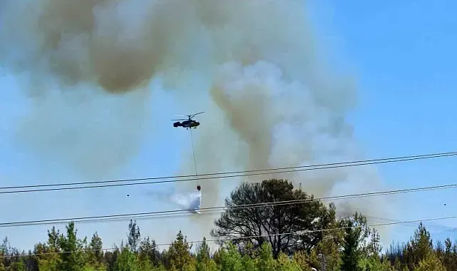 Antalya'da ormanlık alandaki yangın kontrol altına alındı