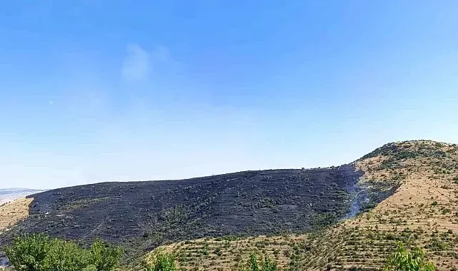 Afyonkarahisar'da çıkan yangında 150 hektarlık alan zarar gördü