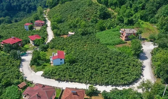 Çaybaşı'nda grup yolu betonla buluşturuluyor
