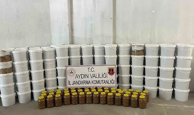Köşk'te 3 milyon liralık sahte gıda operasyonu: "4 ton salça ve 300 kilo zeytin ele geçirildi"