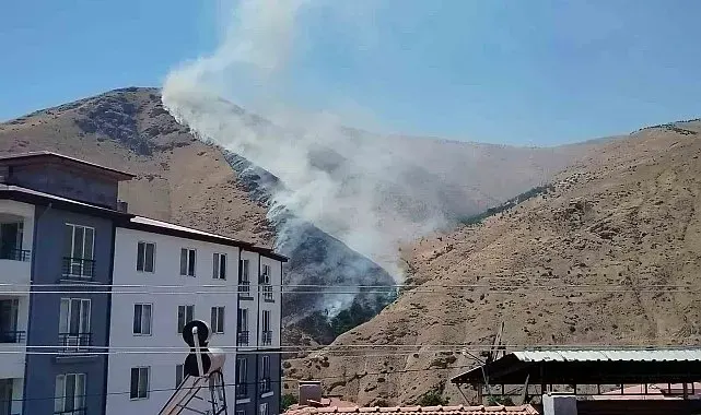 Elazığ'da dağlık alanda yangın