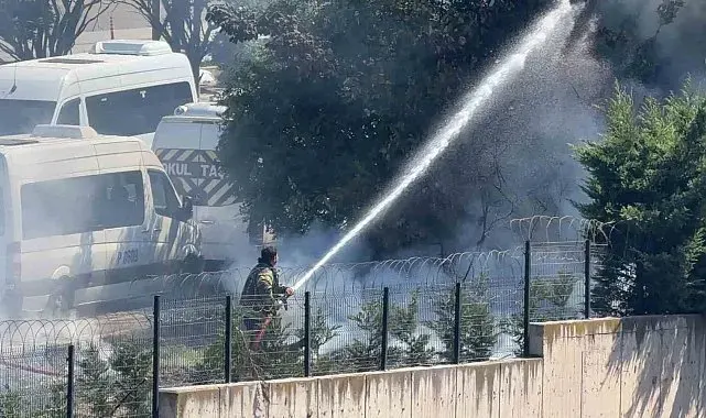 Ağaçlık alanda çıkan yangın büyümeden söndürüldü