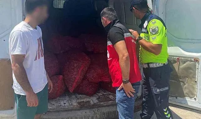 Tekirdağ'da 700 kilogram kaçak midye ele geçirildi