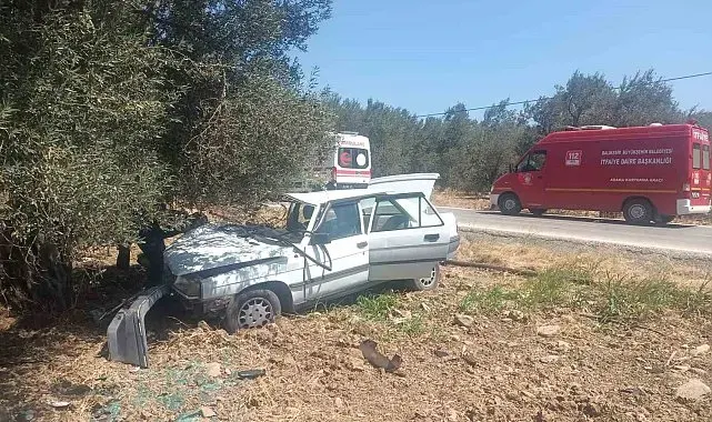 Balıkesir'de otomobil zeytin ağacına çarptı: 2 yaralı