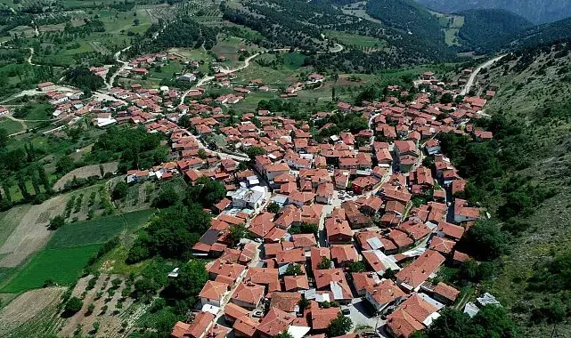 Köylülerin ürettiği peynir coğrafi işaret tescili aldı