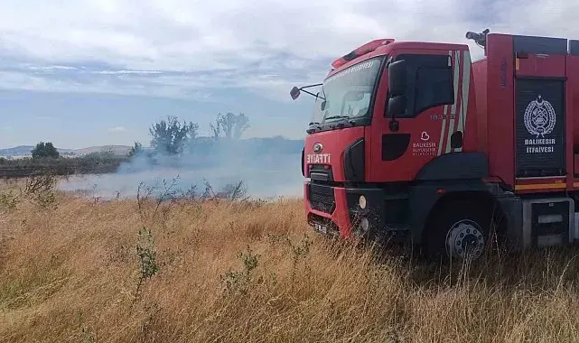 Manyas'ta 25 dönümlük merada çıkan yangın söndürüldü