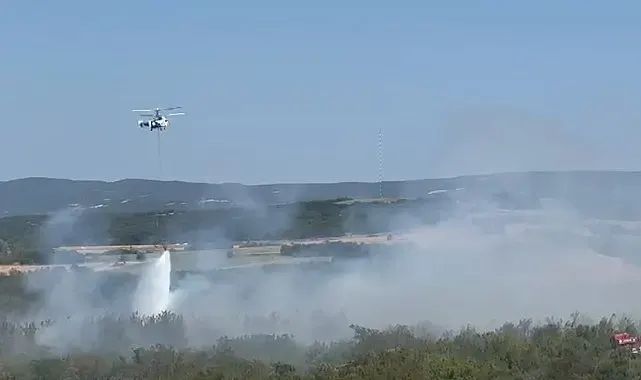 Tekirdağ'da anız yangını ormana sıçradı: Havadan ve karadan müdahaleyle kontrol altına alındı