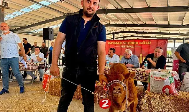 Yılın en güzel buzağısı 40 günlük buzağı oldu
