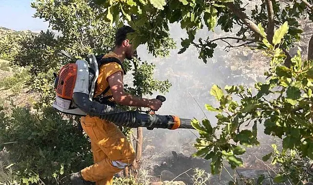 Diyarbakır'da 15 dönüme yakın ormanlık alan yandı