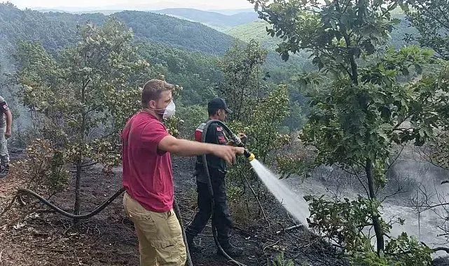 Bilecik'te 20 dönümlük alanda korkutan yangın