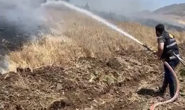 Elazığ'da 35 dönüm ekili alan küle döndü