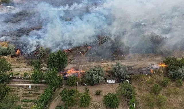 Arazide çıkan yangın evlere sıçramadan söndürüldü