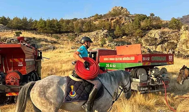 Atlı jandarmalar yangın bölgesine hortum taşıdı