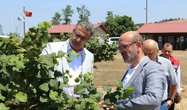 Samsun'da tarımsal üretim çalışmaları yerinde incelendi