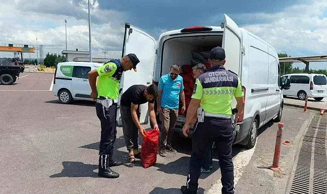 Yalova'da 3 ton kaçak midye ele geçirildi