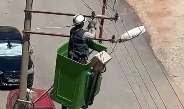 Elektrik tellerine takılan kuş kurtarıldı