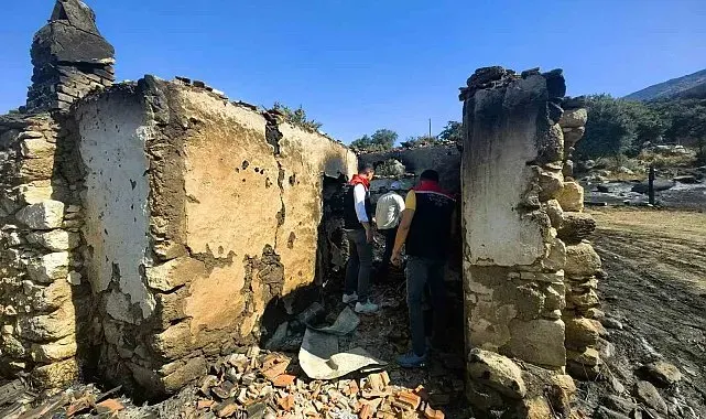 Bozdoğan'daki yangının ardından hasar tespit çalışmaları başladı