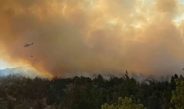 Bilecik'teki orman yangını 3 saatin ardından kontrol altına alındı