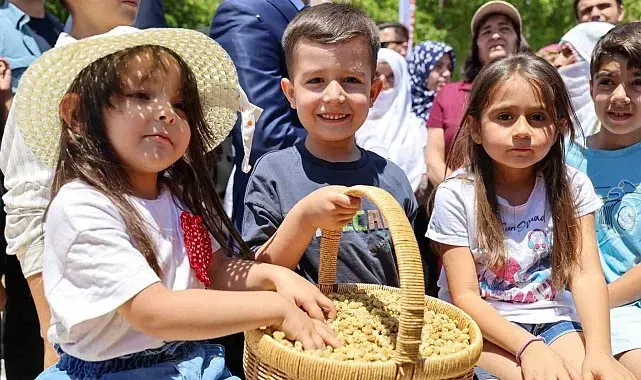 Ulukale dutunda bu yıl 650 ton rekolte beklentisi